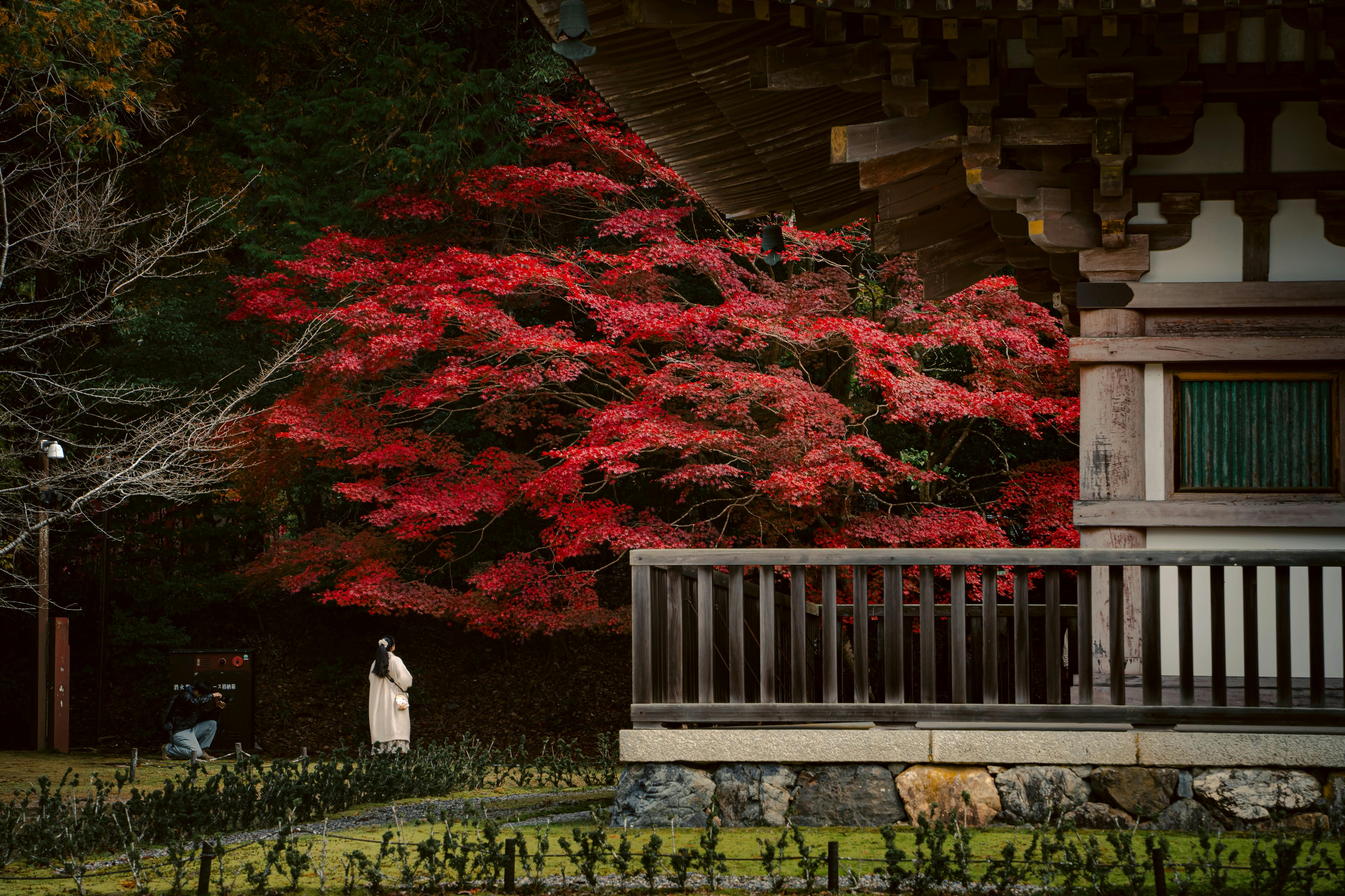 Temple in Kyoto