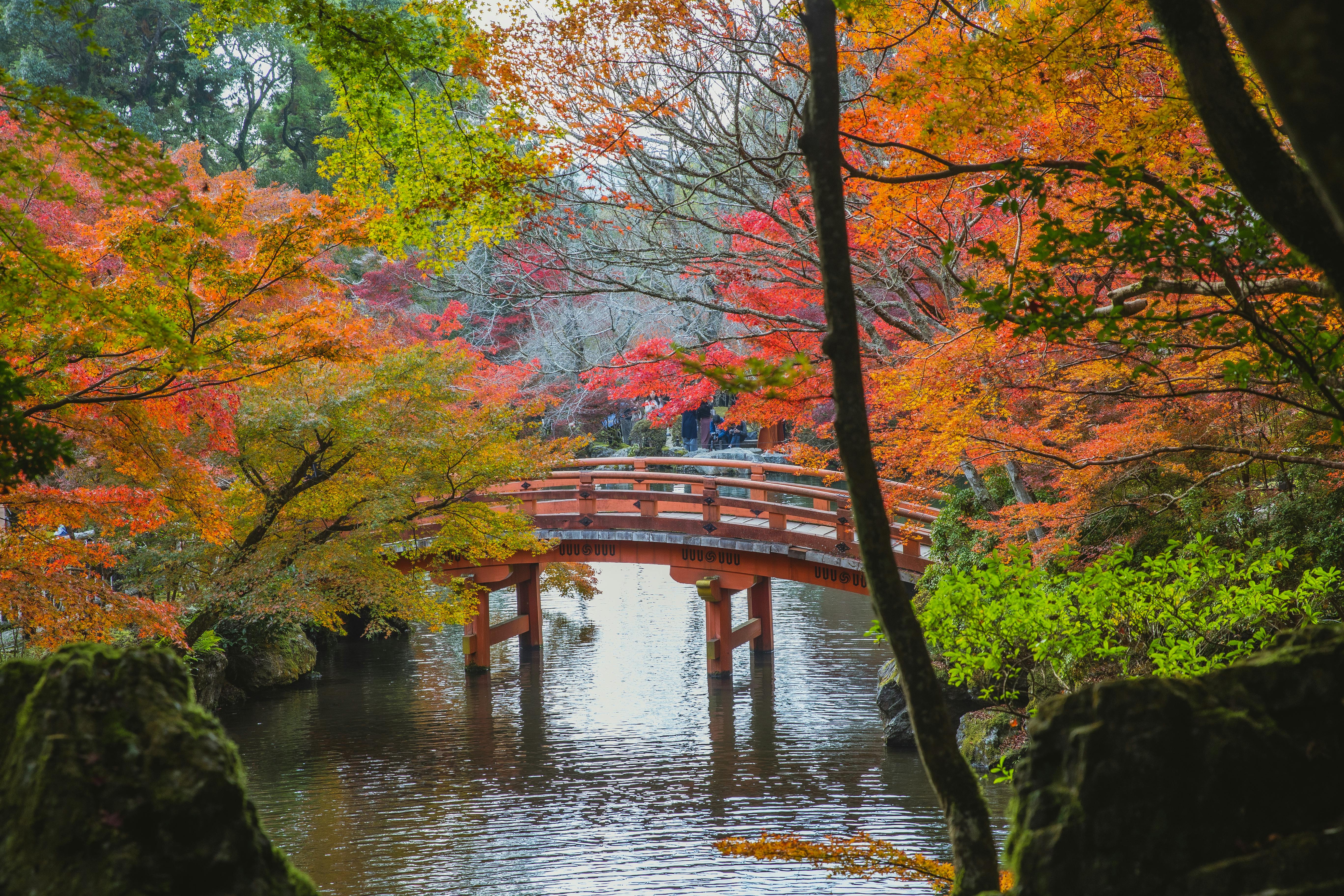 Nikko Bridge in Autumn Japan